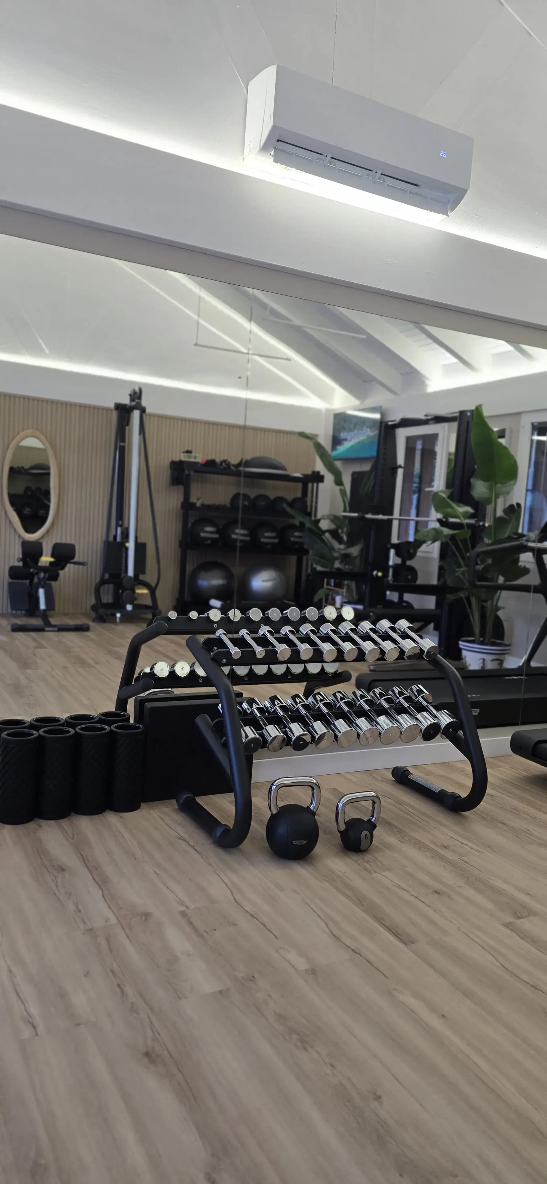 Dumbbells and Kettlebells