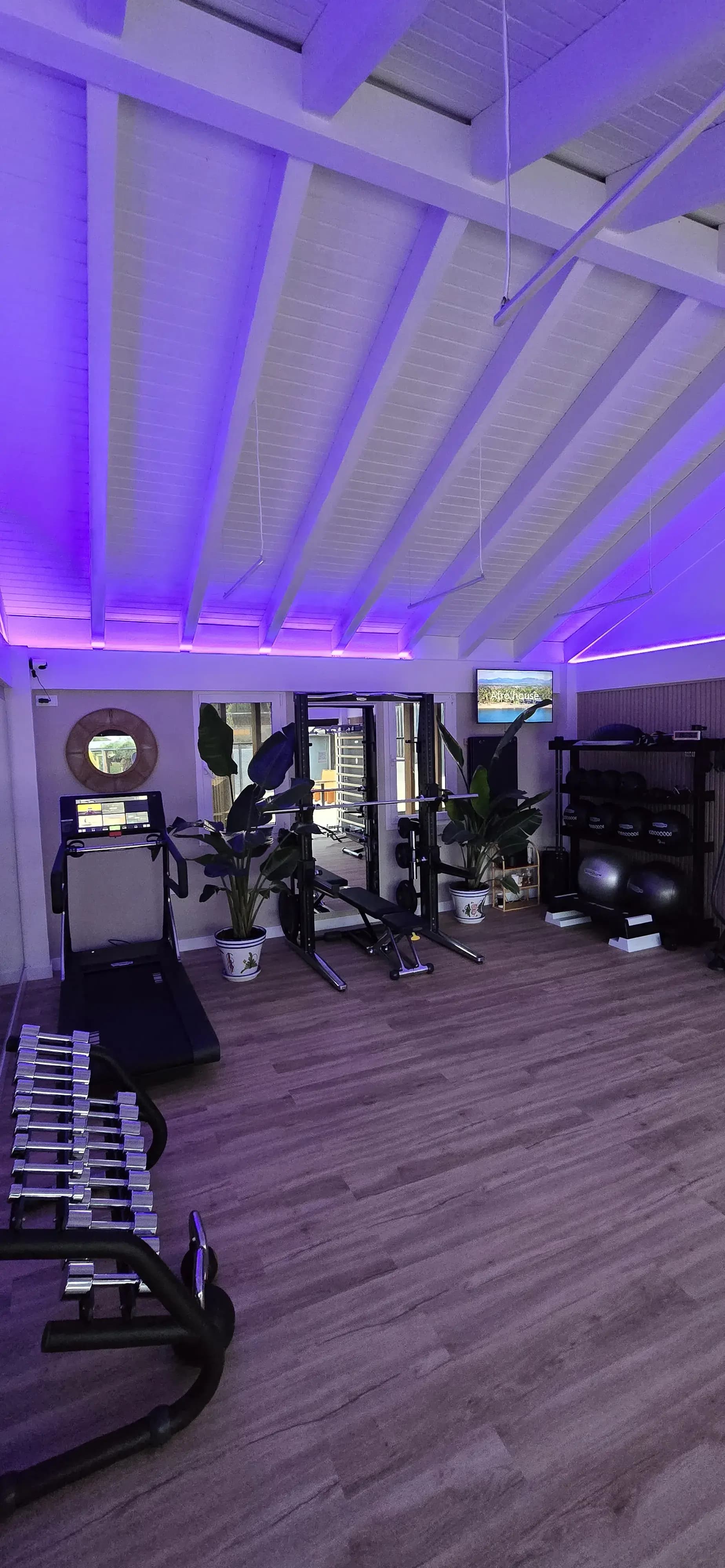 Professional Weights